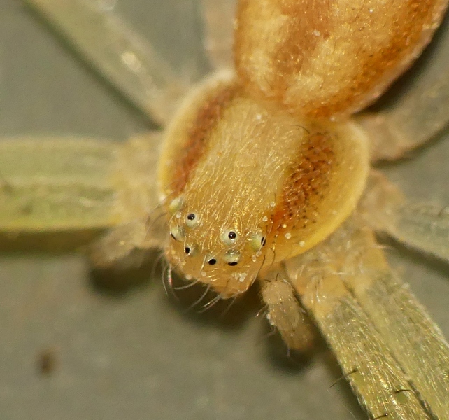 12.04.2020Lumix.jpg_11a.jpg