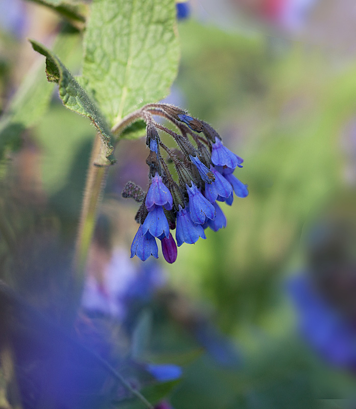 IMG_3020 IN.jpg