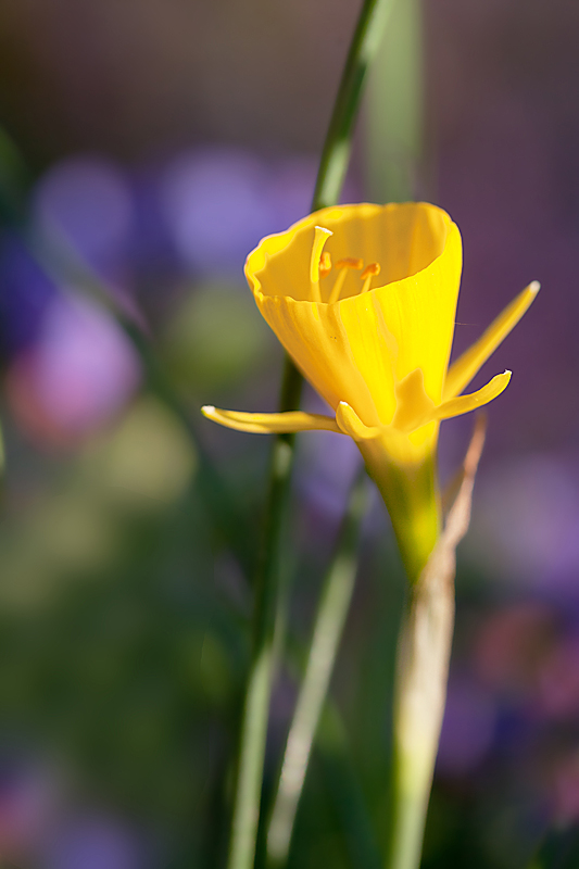 IMG_3009 IN.jpg