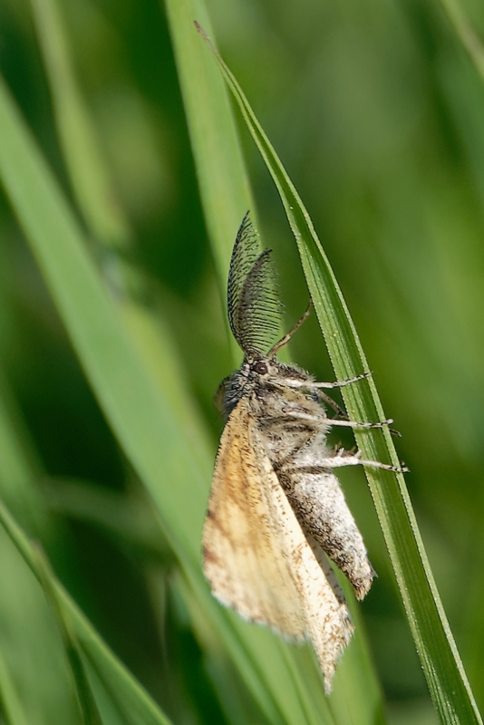 DSC_8402_DxO.jpg