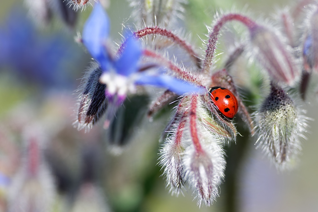 DSC_8443_DxO.jpg