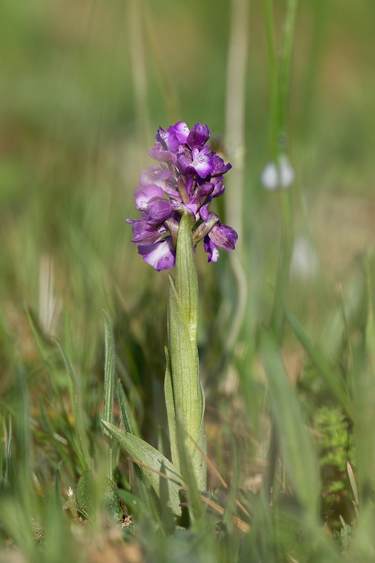 DSC_8419_DxO.jpg