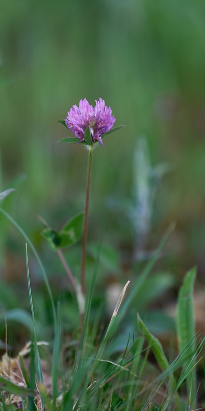 DSC_8510_DxO.jpg