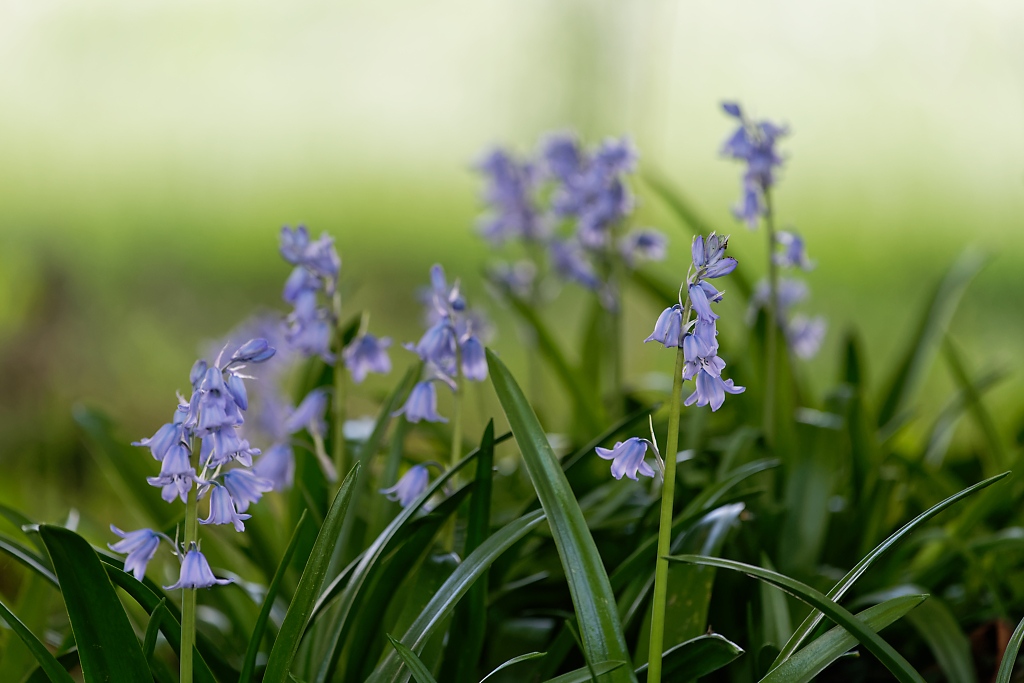 DSC_8526_DxO.jpg
