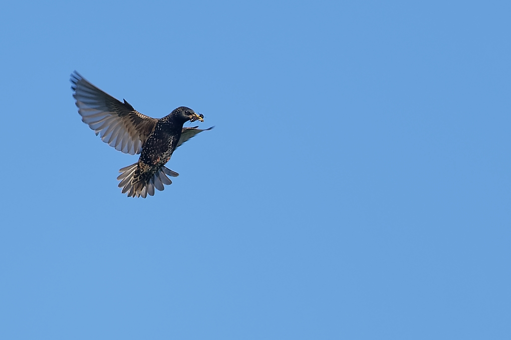 DSC_8635_DxO.jpg