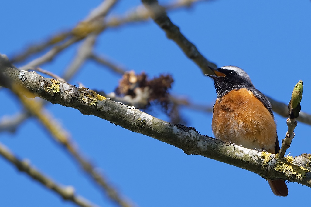 DSC_3419_DxO.jpg