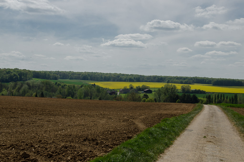 Terrain de -chasse- (1 sur 1).jpg