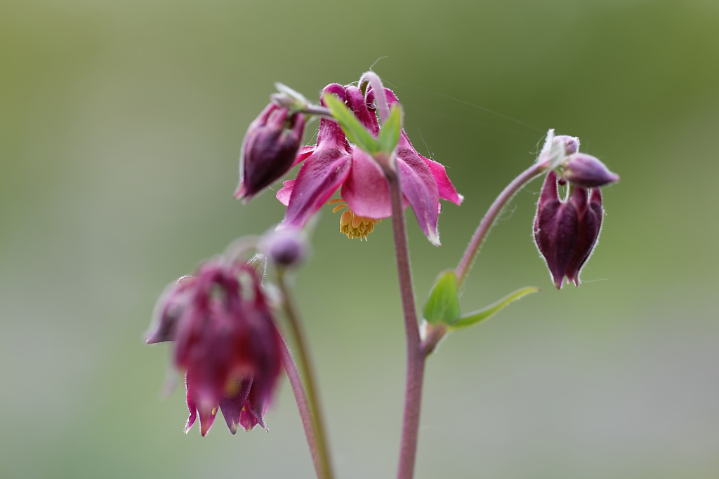 DSC_8788_DxO.jpg