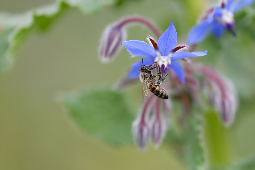 DSC_8792_DxO.jpg