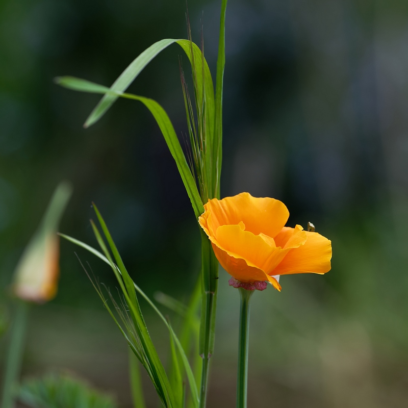 DSC_8824_DxO.jpg