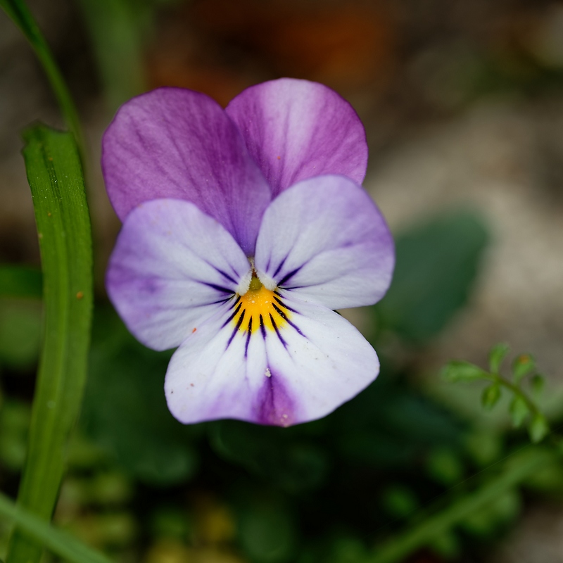 DSC_8802_DxO.jpg