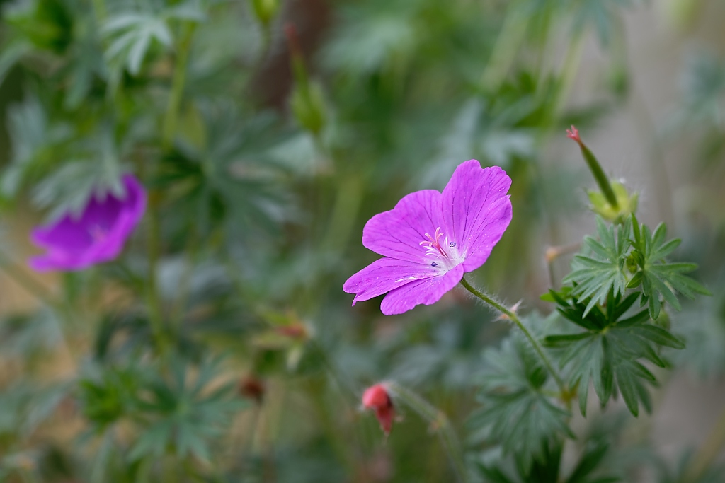 DSC_8804_DxO.jpg