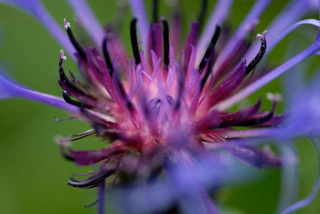 DSC_8809_DxO.jpg