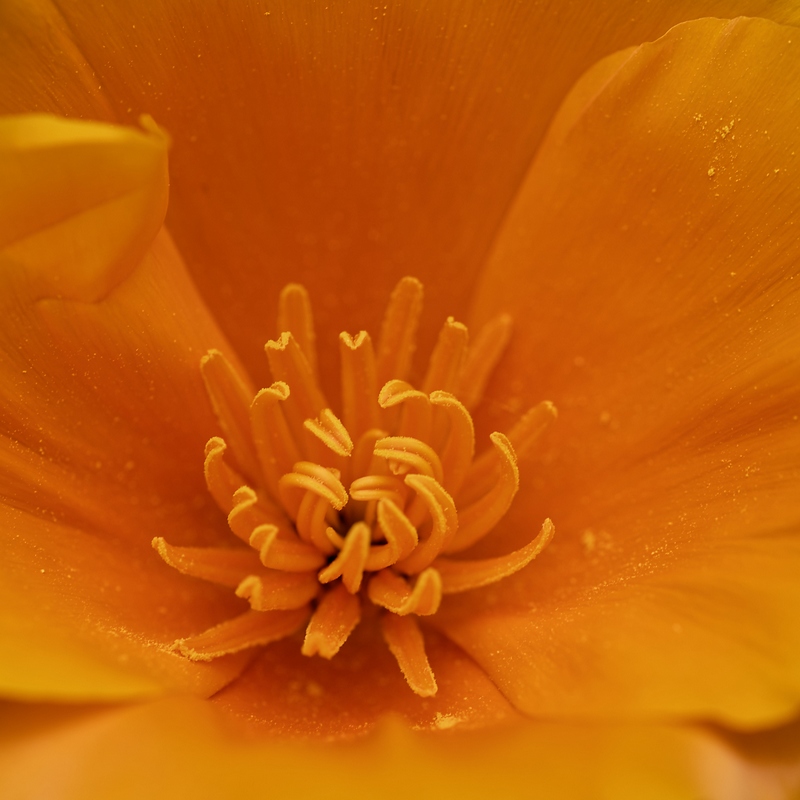 DSC_8822_DxO.jpg