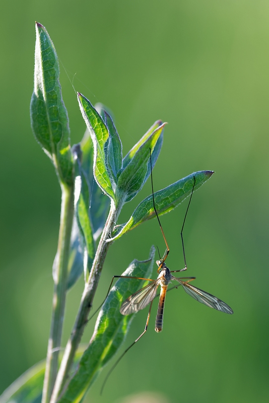 DSC_8556_DxO.jpg