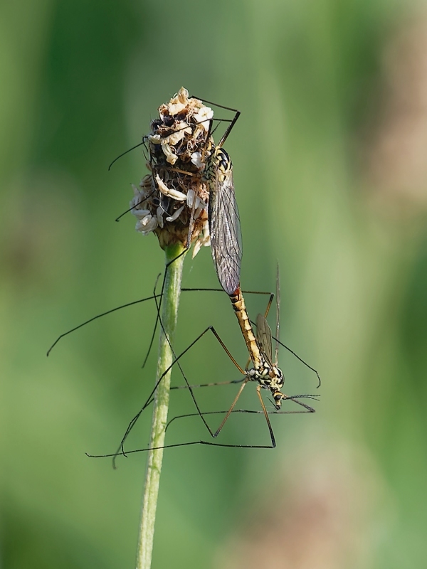 DSC_8576_DxO.jpg