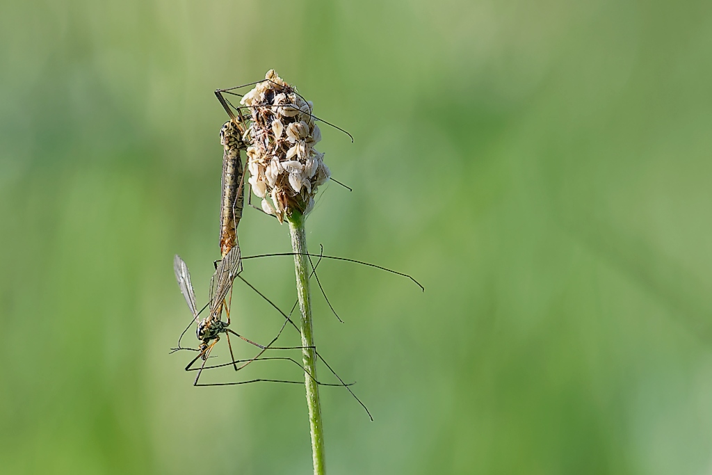 DSC_8584_DxO-1.jpg
