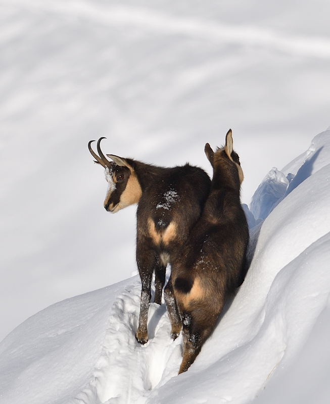 DS5_3168.jpg