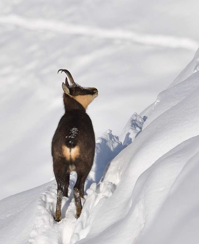 DS5_3172.jpg