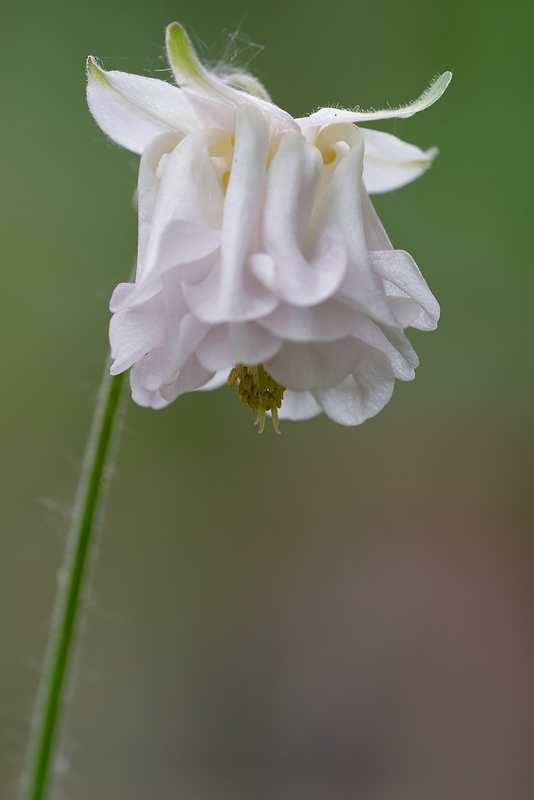 DSC_8840_DxO.jpg