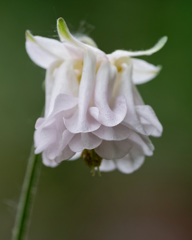 DSC_8841_DxO-1.jpg