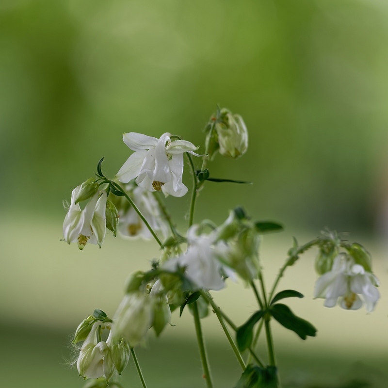 DSC_8846_DxO.jpg