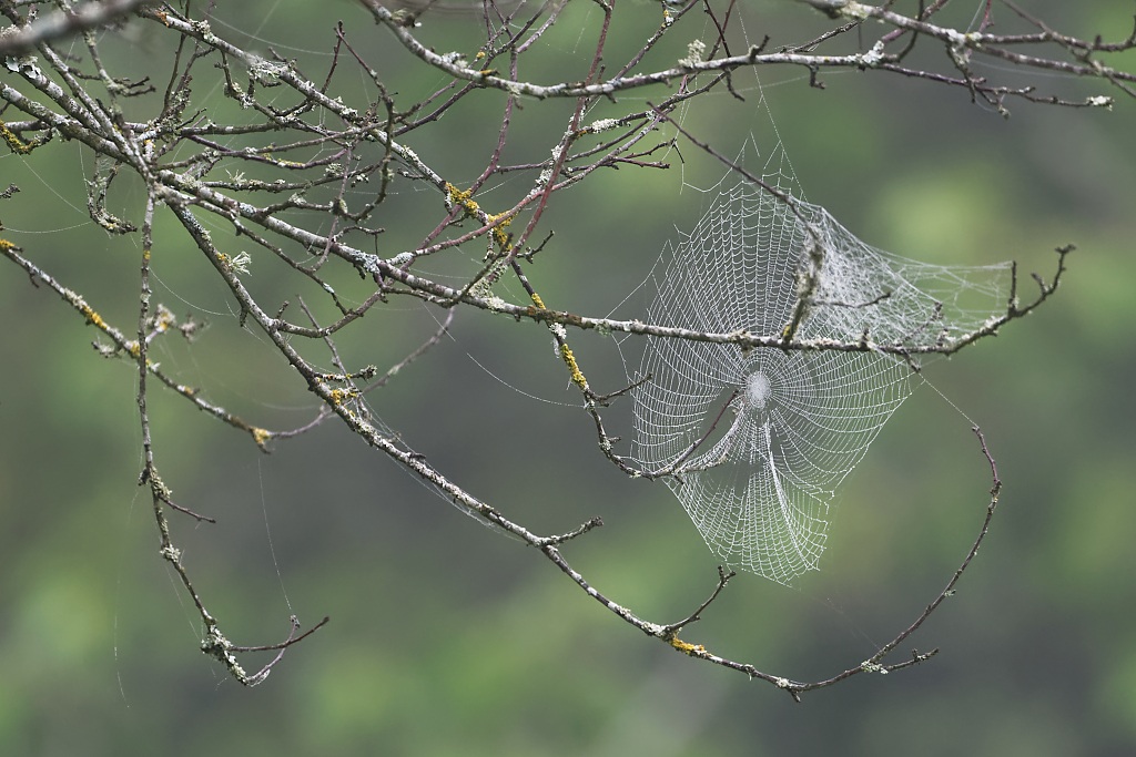 DSC_3504_DxO.jpg