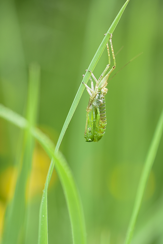 DSC_0152 copie 1.jpg