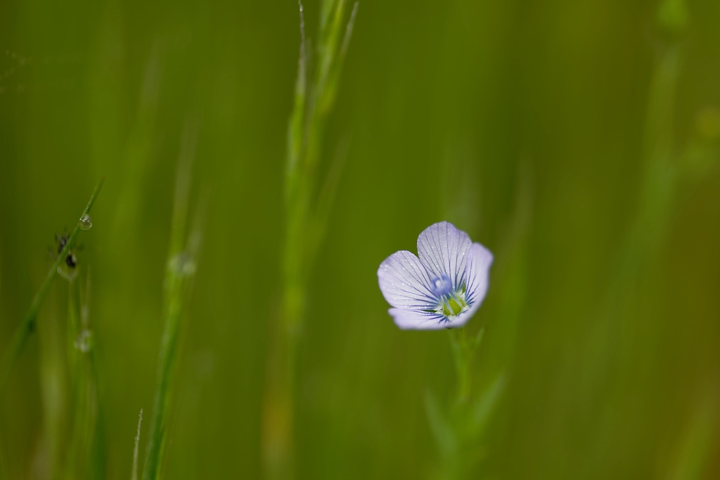 DSC_8904_DxO.jpg
