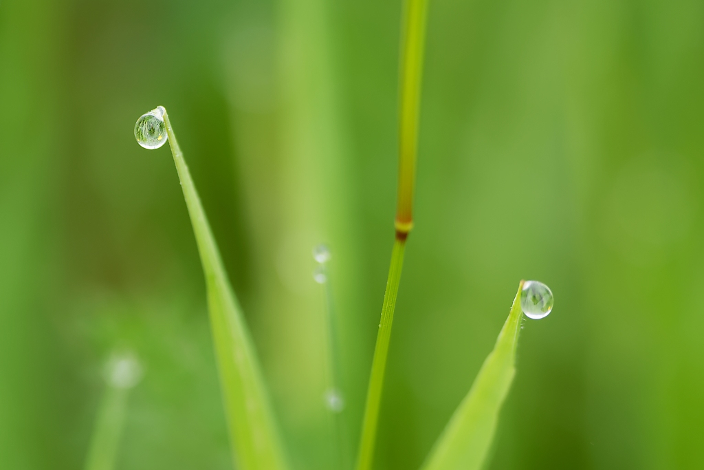 DSC_8923_DxO.jpg