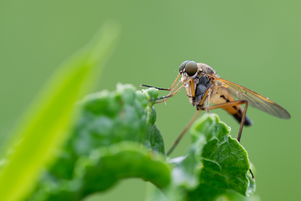 DSC_8933_DxO.jpg
