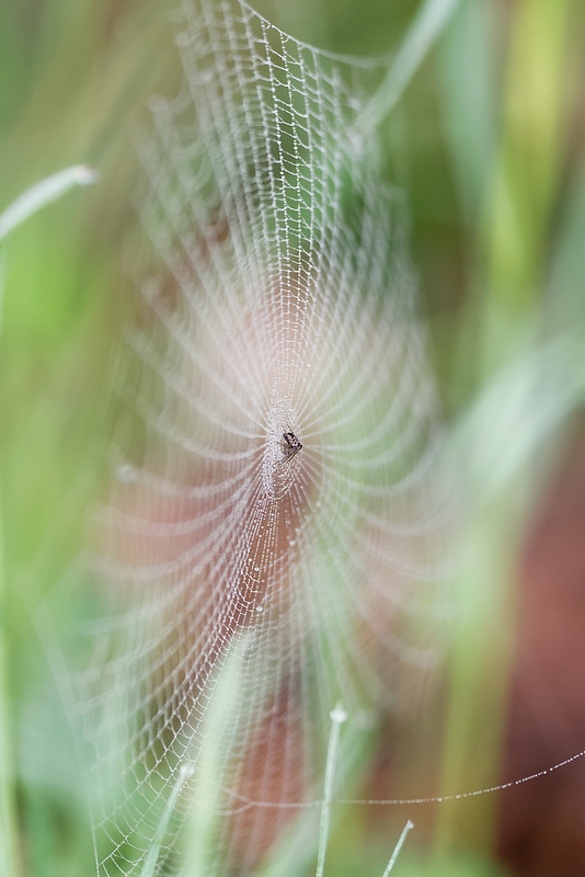 DSC_8891_DxO.jpg