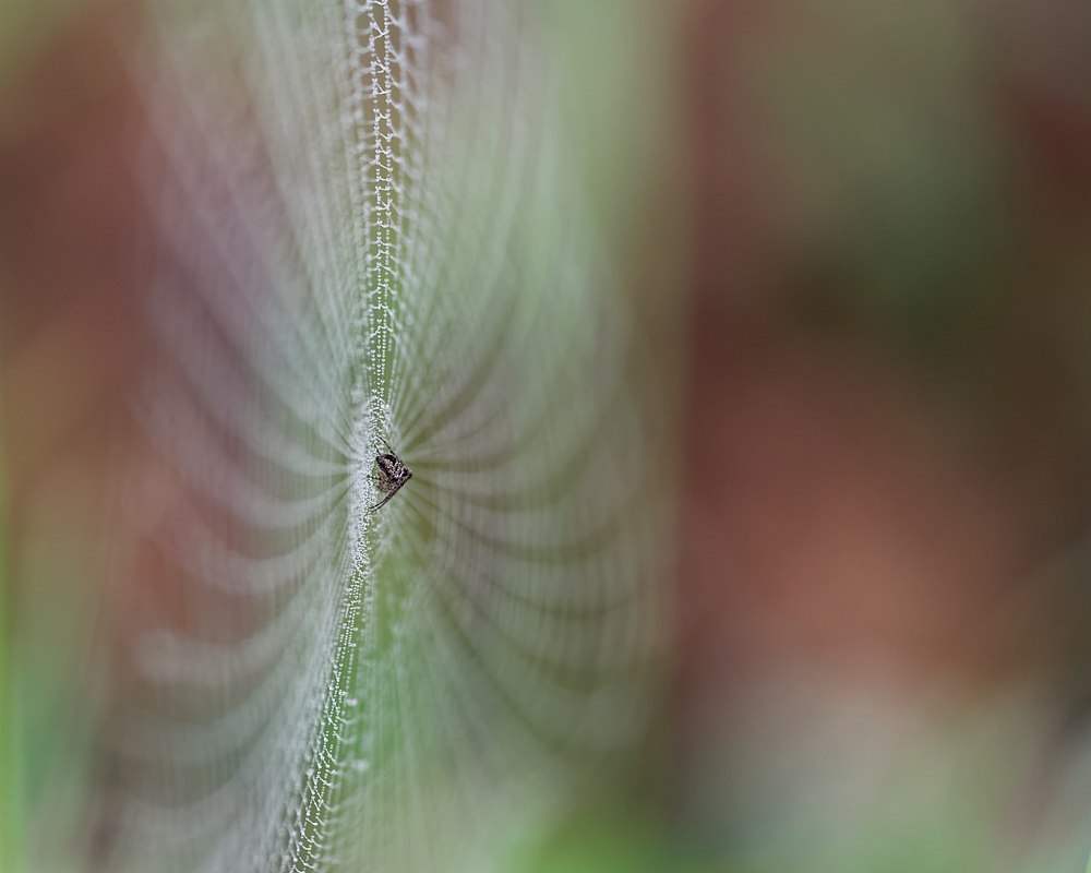 DSC_8897_DxO.jpg