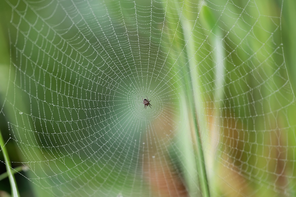 DSC_8899_DxO.jpg