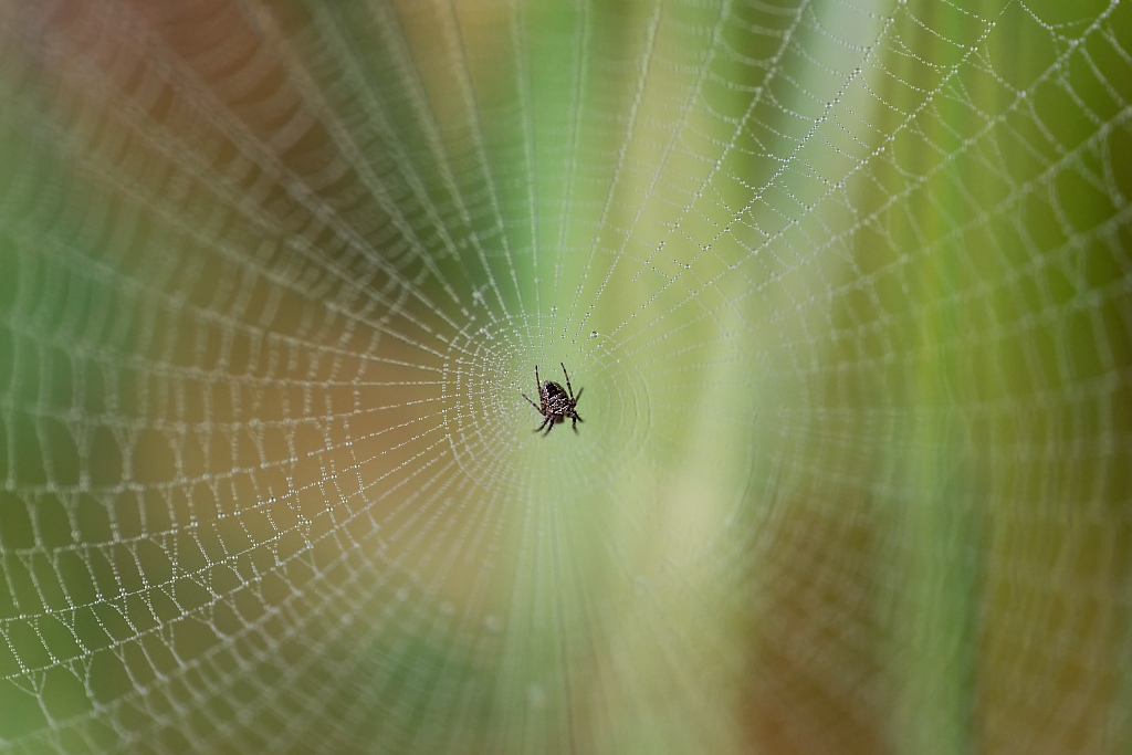 DSC_8900_DxO.jpg