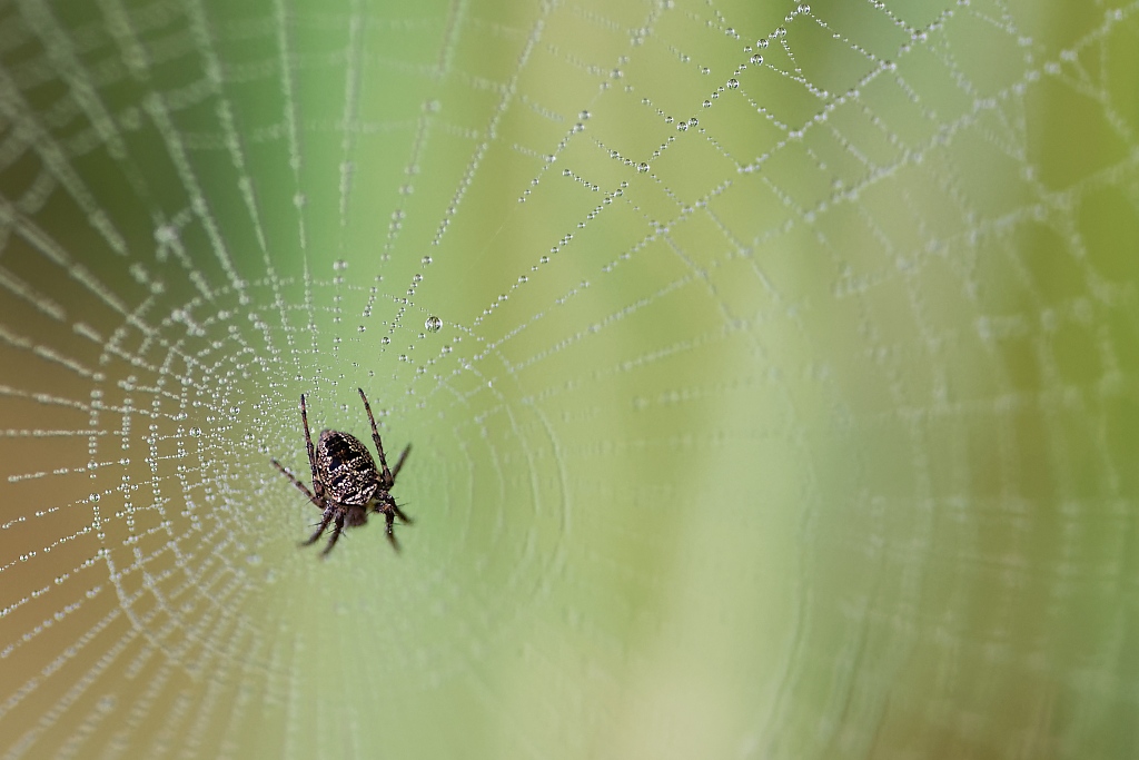 DSC_8901_DxO.jpg