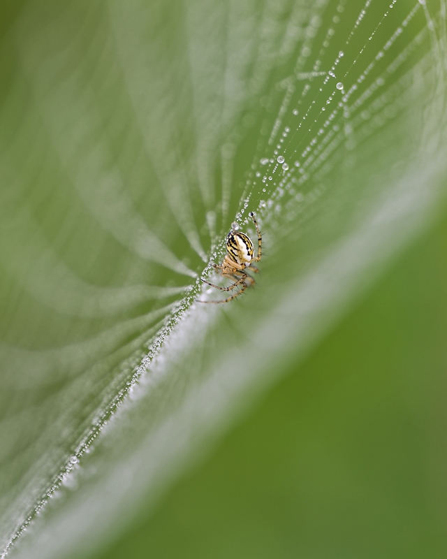 DSC_8909_DxO.jpg