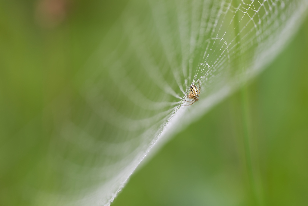 DSC_8910_DxO.jpg