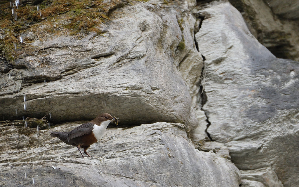 DSC_2265.jpg