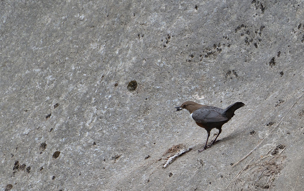 DSC_2299.jpg