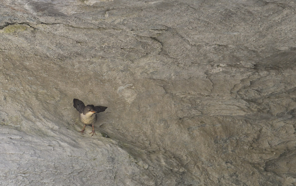 DS5_0674.jpg
