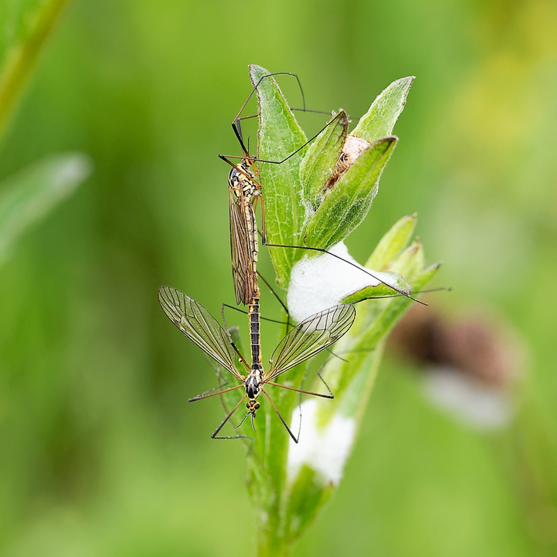 DSC_8939_DxO-1.jpg