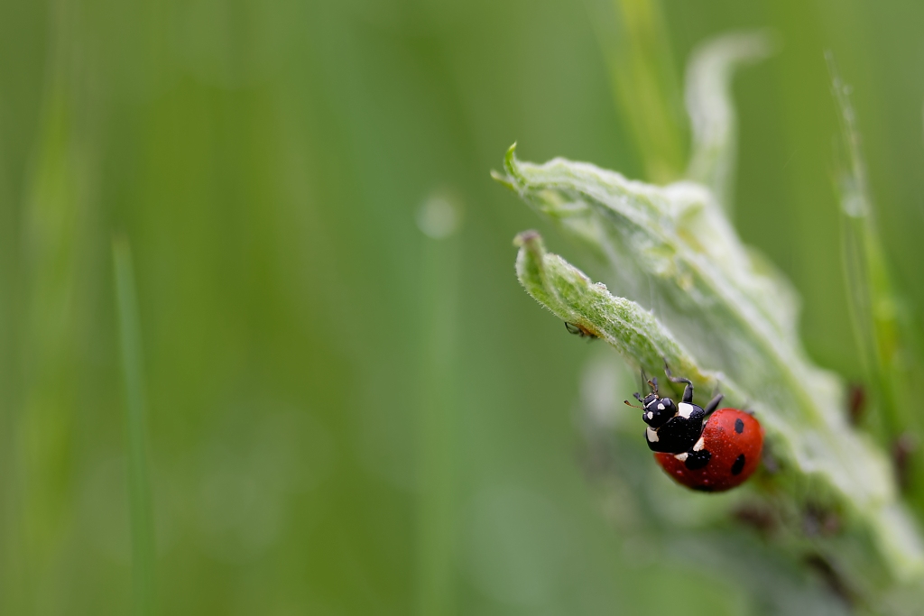 DSC_8949_DxO.jpg