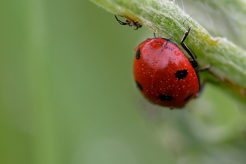 DSC_8952_DxO.jpg