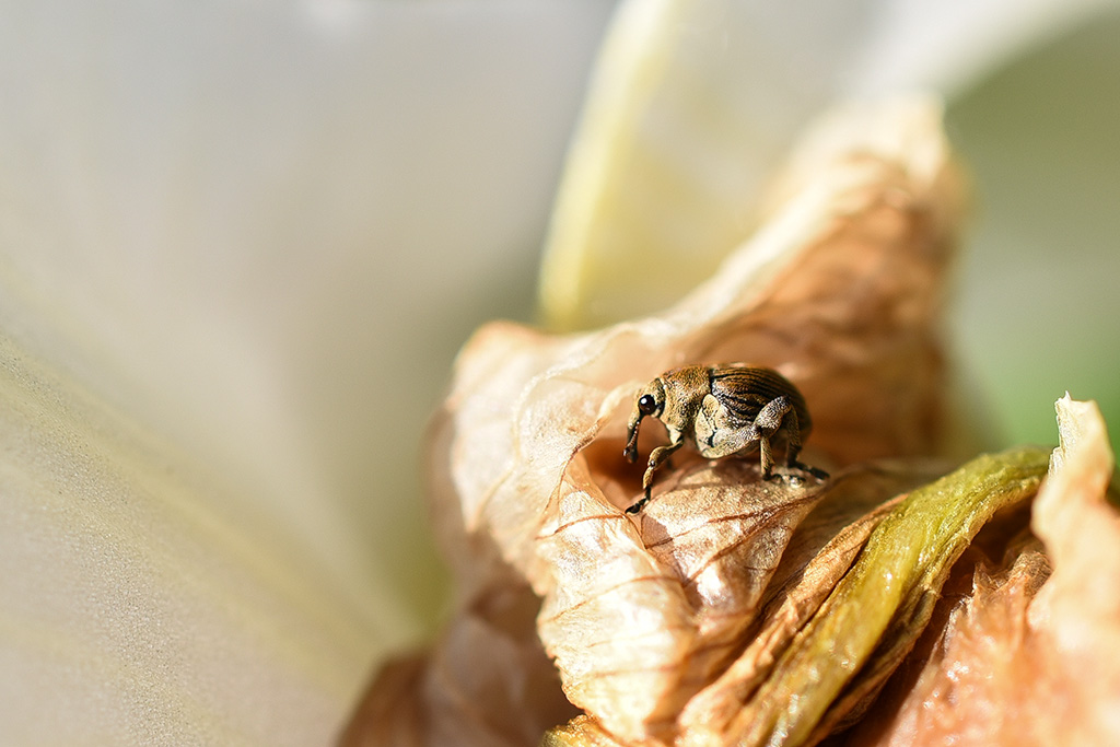 DSC_0367 copie 1.jpg