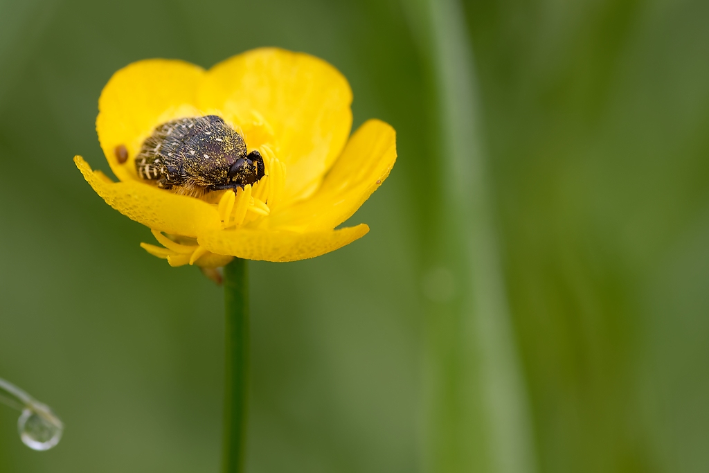 DSC_9059_DxO.jpg