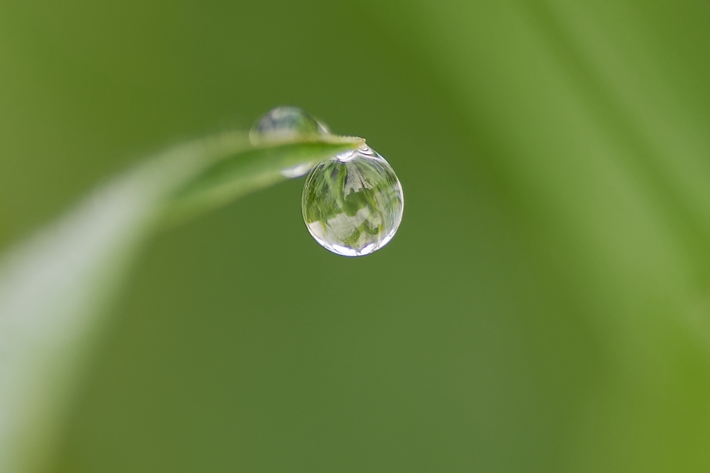 DSC_9069_DxO.jpg