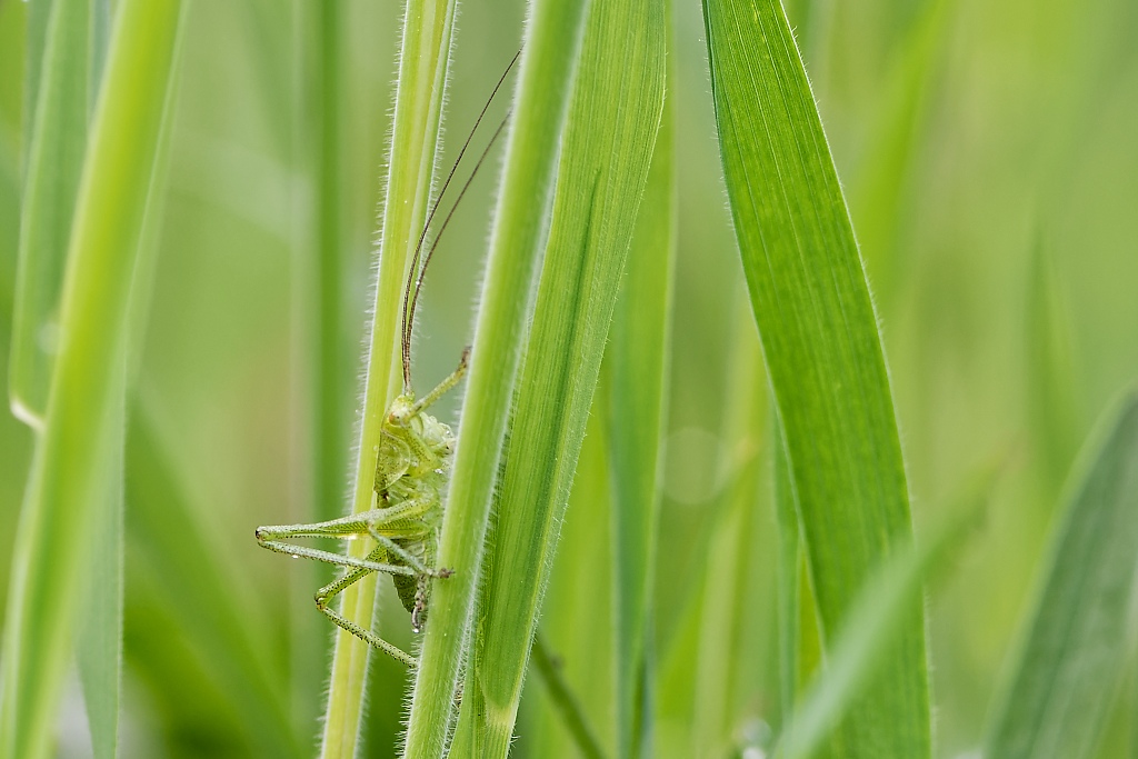 DSC_9082_DxO.jpg