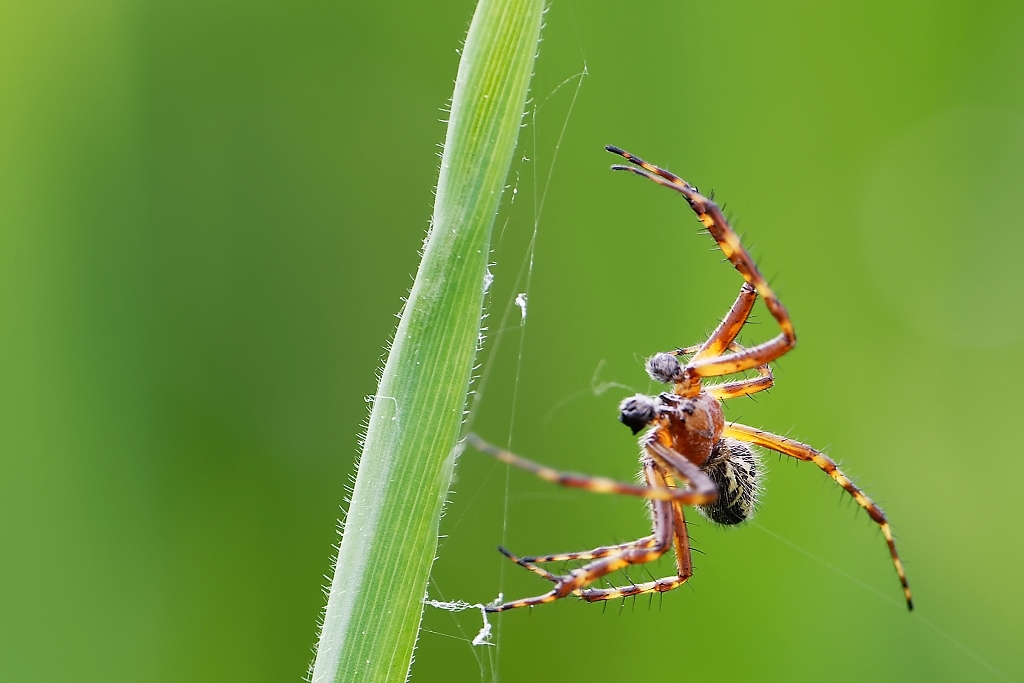 DSC_9091_DxO.jpg