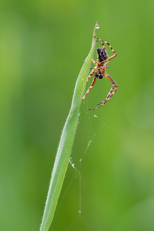 DSC_9097_DxO.jpg
